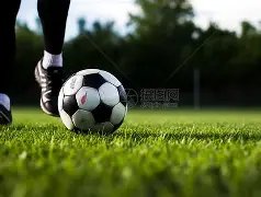 火箭对阵雄,伤病情况公,三将存疑,国民彩票,彩票平台,实时开奖,在线投注,彩票服务