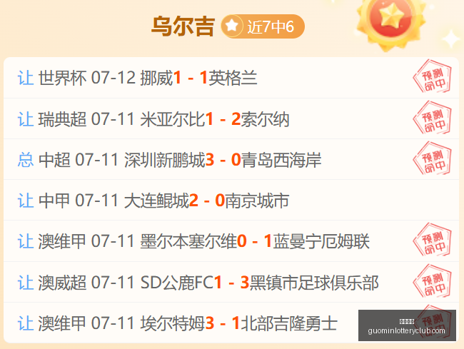 菲杯赛事攻,深度解析黑,水精英对决,国民彩票,彩票平台,实时开奖,在线投注,彩票服务